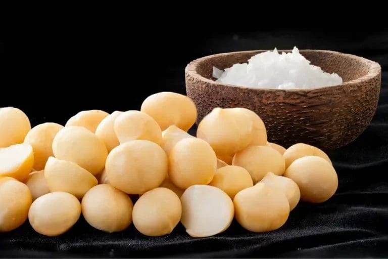 Macadamia nut prices rebound worldwide